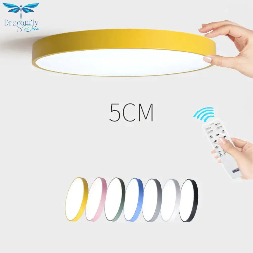 Kaley - Super Slim Led Surface Mount Light With Remote Control Ceiling