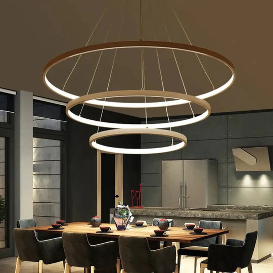 Modern Circle Rings Acrylic Aluminum Pendant Lights For Living Room Dining 3Ring 20 40 60Cm / Body