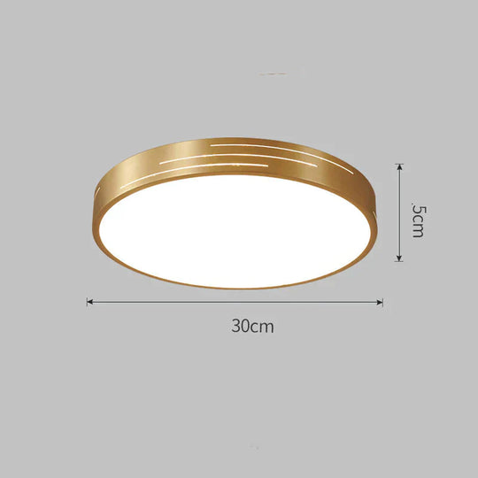 New All Copper Modern Simple Ceiling Lamp Ultra - Thin Bedroom Room Circular Study Balcony Lighting