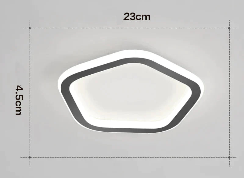 Simple Ceiling Lamp Personalized Creativity Ultra - Thin Corridor Light Luxury Cloakroom Led Anode