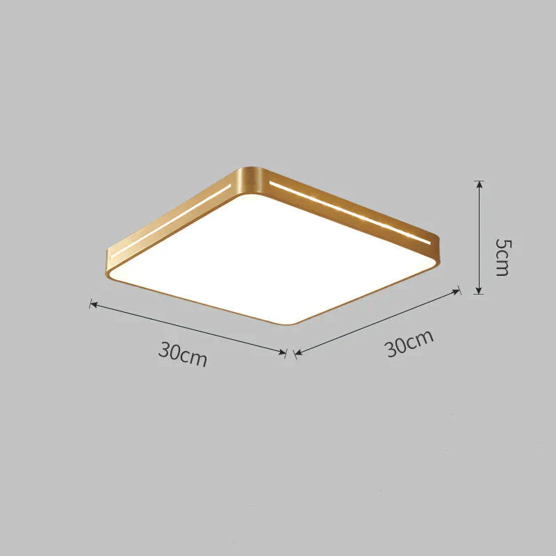 New Nordic Copper Modern Minimalist Ceiling Lamp Ultra - Thin Bedroom Round Square Study Balcony