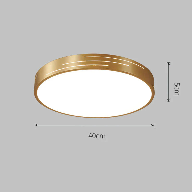 New All Copper Modern Simple Ceiling Lamp Ultra - Thin Bedroom Room Circular Study Balcony Lighting