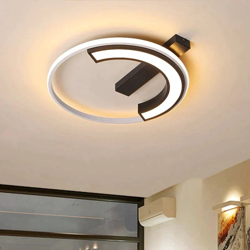 Remote Control Living Room Bedroom Ceiling Lights White And Black Iron Body Surface Mounted Led