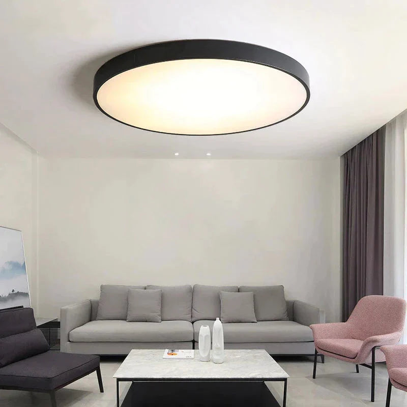 Metal Modern Led Ceiling Light Black&White Simple Chandelier Lamp For Living Room Bedroom Dining