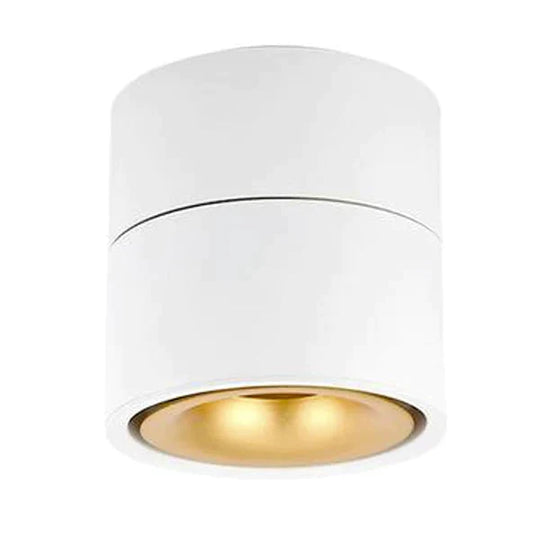 Led Surface Mounted Ceiling Light Foldable And 360 Degree Rotatable Cob Background White - Golden