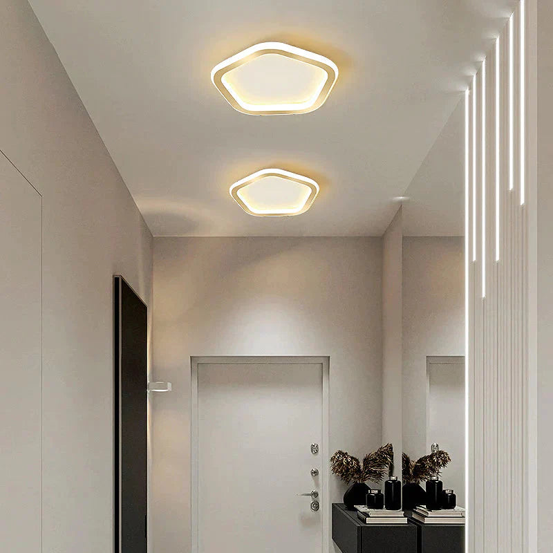 Simple Ceiling Lamp Personalized Creativity Ultra - Thin Corridor Light Luxury Cloakroom Led Anode