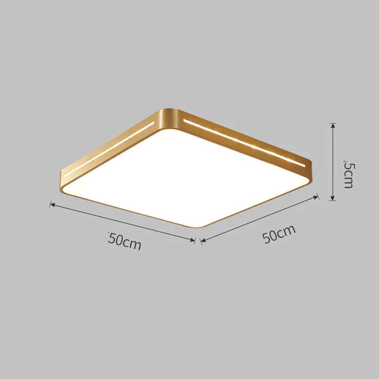 New Nordic Copper Modern Minimalist Ceiling Lamp Ultra - Thin Bedroom Round Square Study Balcony