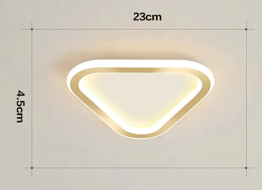 Simple Ceiling Lamp Personalized Creativity Ultra - Thin Corridor Light Luxury Cloakroom Led Anode