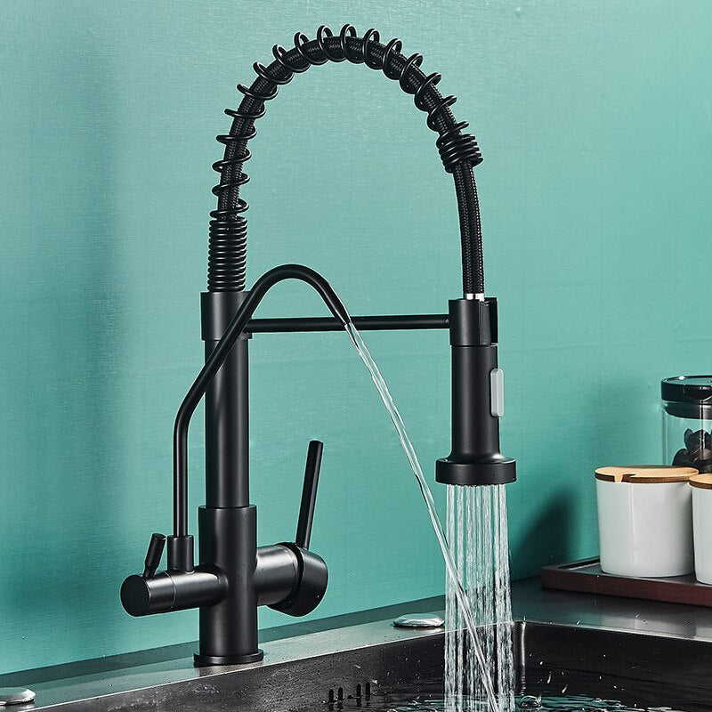 Matte Black Kitchen Filtered Faucet Water Tap Purifier Dual Sprayer Drinking 360 Rotation