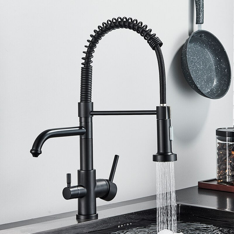 Matte Black Kitchen Filtered Faucet Water Tap Purifier Dual Sprayer Drinking 360 Rotation