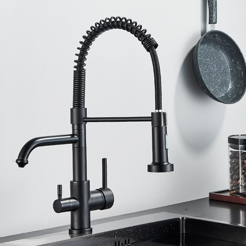 Matte Black Kitchen Filtered Faucet Water Tap Purifier Dual Sprayer Drinking 360 Rotation