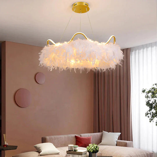 Warm Romantic Creative Crown Feather Lamp Dia70Cm / Trichromatic Light Pendant