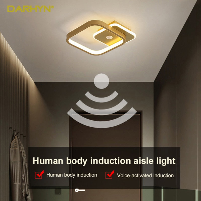 Nodric Led Ceiling Lamp Induction Aisle Light Corridor Hallway Entry Lights Modern Round Indoor