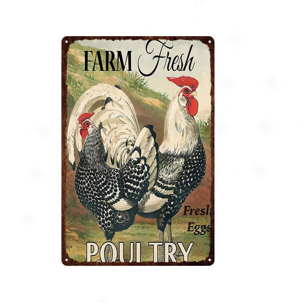 Vintage Chicken And Fresh Eggs Tin Sign: Farmhouse Kitchen Farm Wall Art Decor 7 / 20X30Cm Painting