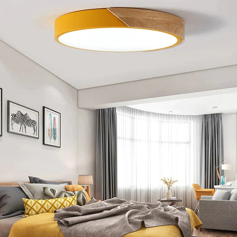 Erica - Modern Led Ceiling Light Lamp Living Room Lighting Fixture Bedroom Kitchen Surface Mount