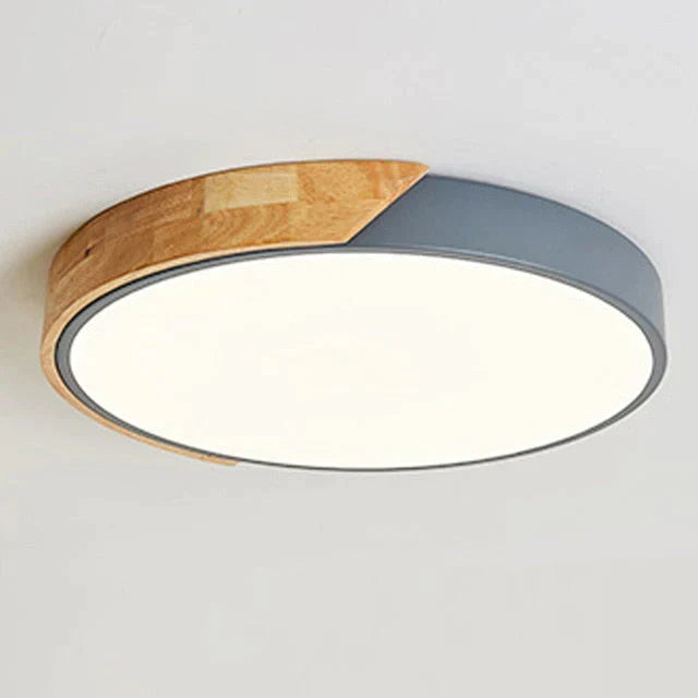 Erica - Modern Led Ceiling Light Lamp Living Room Lighting Fixture Bedroom Kitchen Surface Mount