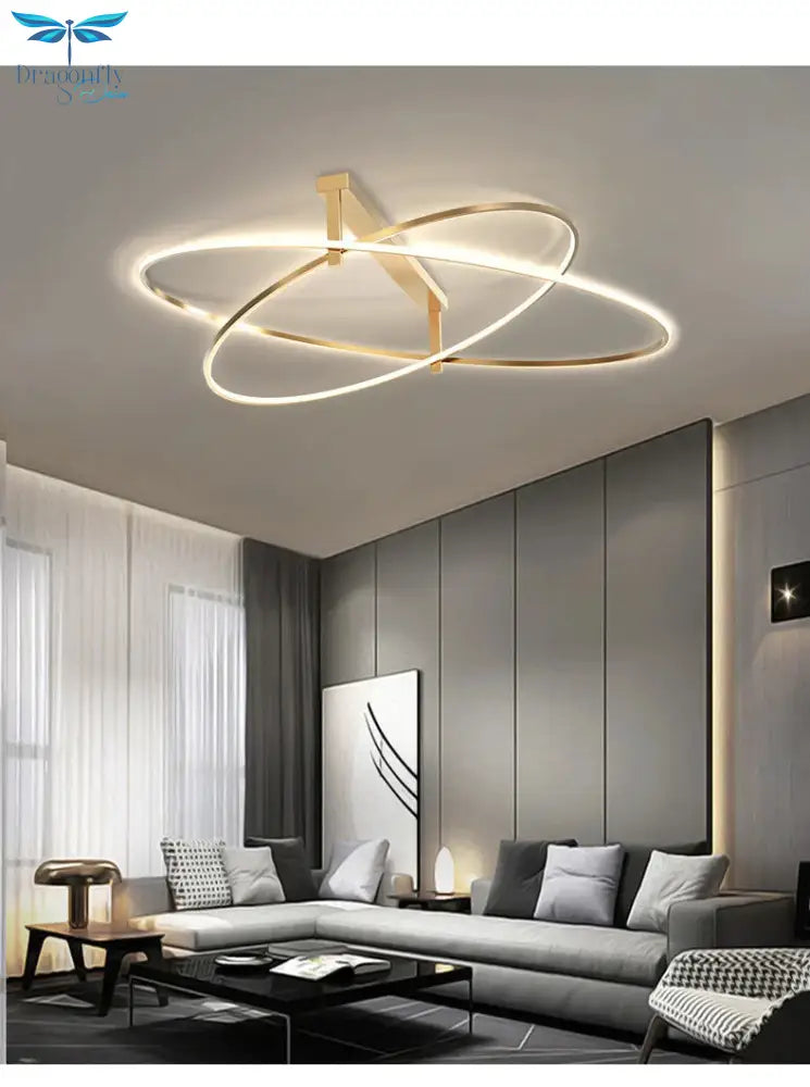 Led Ceiling Lamp Oval