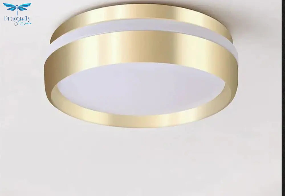 Mara - Modern Minimalist Gateway Round Gold Led Small Ceiling Lamp