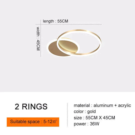 Modern Ceiling Lights For Living Room Circle Gold Brown Led Plafon Decor Bedroom Lamps Fixture With