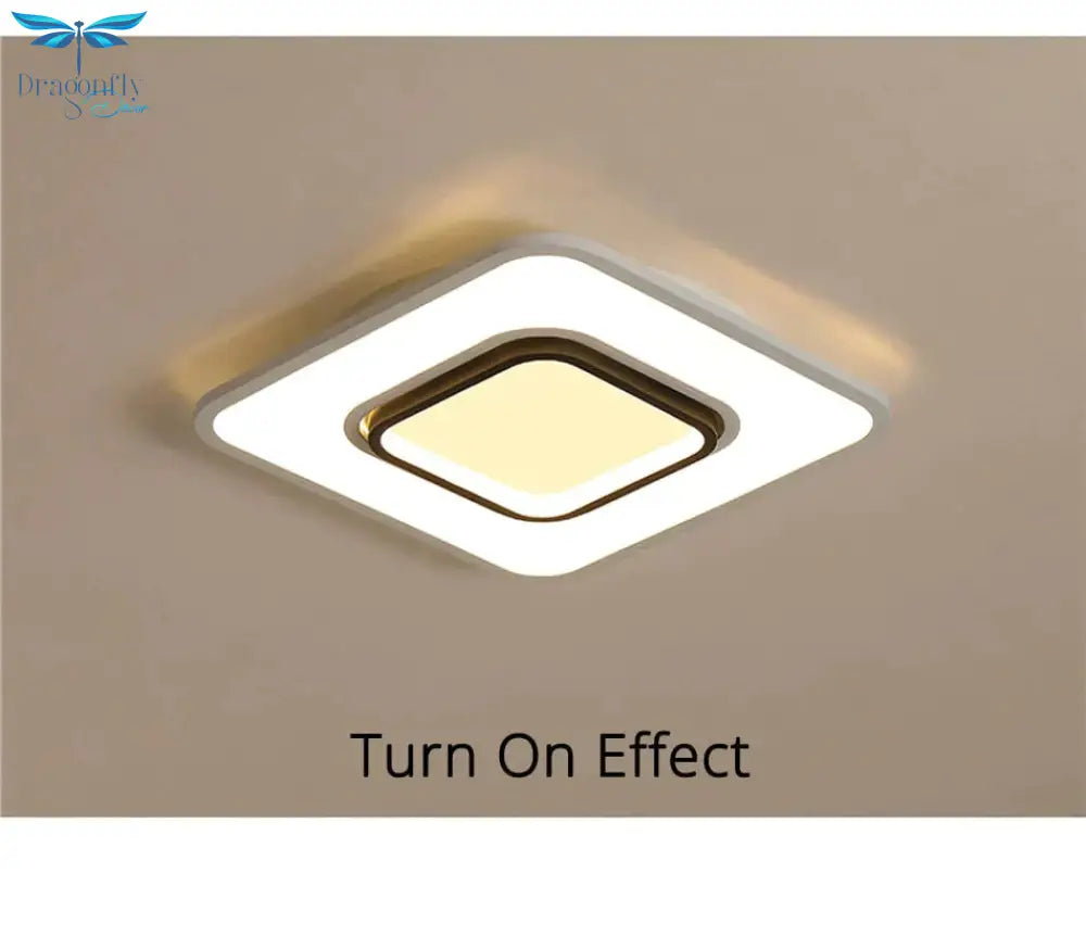 Modern Led Ceiling Lamp Fixture For Living Room Touch Remote Control Dimming Dining Bedroom Lights