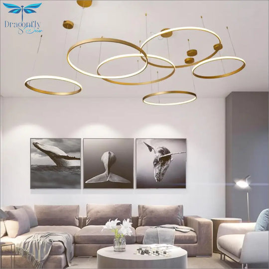 Modern Led Round Ring Chandelier Diy 3/4/5/6 Rings Suspend Light 40/60/80/100/120Cm Acrylic Circle