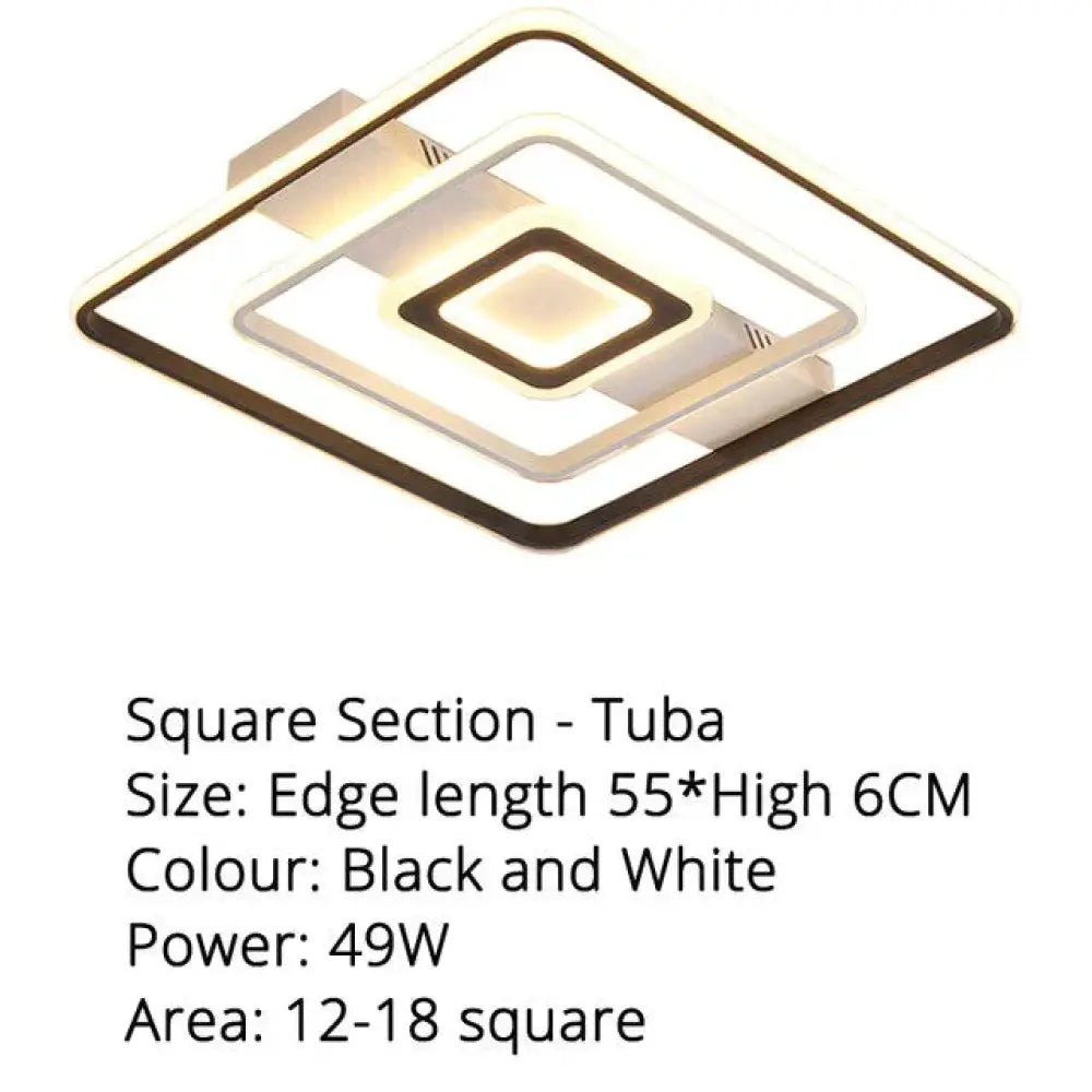 Modern Rectangle/Square/Circle Acrylic Led Ceiling Light White Color Black Remote Control For