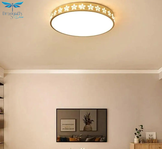 New Simple Modern Atmosphere Living Room Lamp Home Hall Headlights Led Ceiling Rectangular Lighting