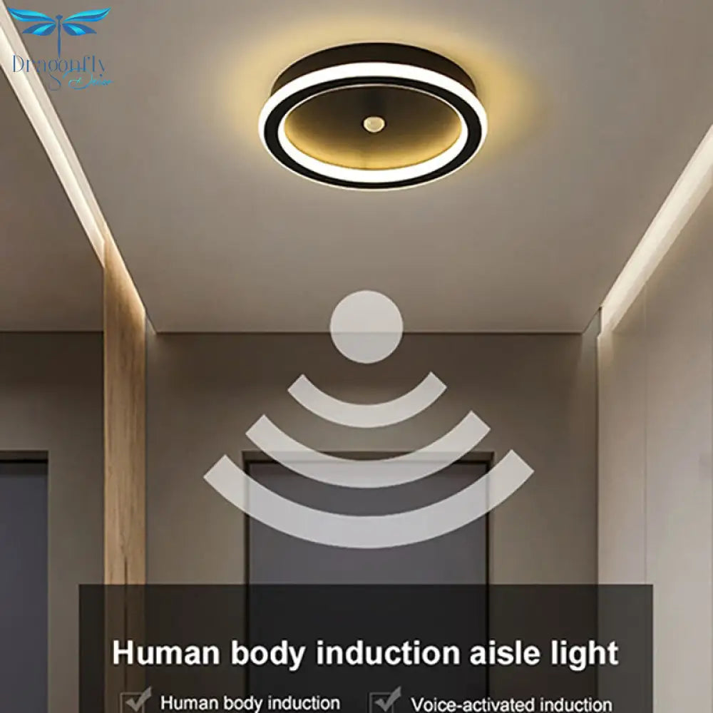 Nodric Led Ceiling Lamp Induction Aisle Light Corridor Hallway Entry Lights Modern Round Indoor