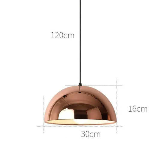 Nordic Modern Simple Gold Round Single - Headed Restaurant Chandelier A 30Cm Rose Gold / No Light