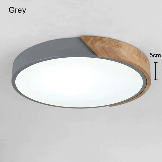 5Cm Ultra Thin Led Ceiling Lights For Living Room Dimmable Modern Lamp Nordic Bedroom Kids