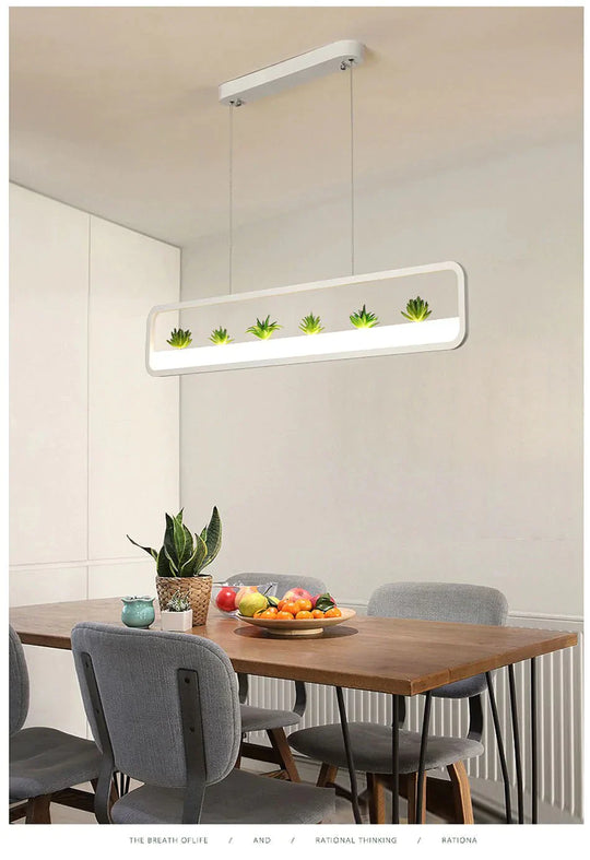 White Natural Green Pendant Lights Used To Decorate The Dining Room Living Indoor Lamp Luminaire