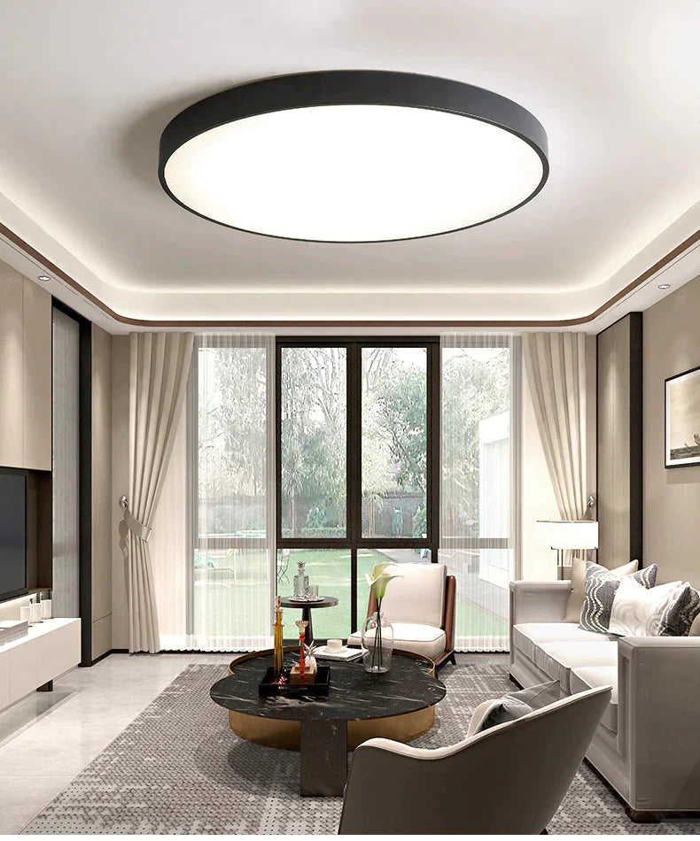 Metal Modern Led Ceiling Light Black&White Simple Chandelier Lamp For Living Room Bedroom Dining