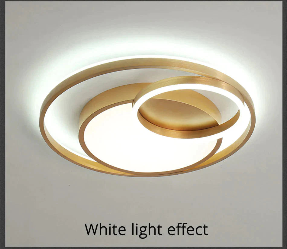 Modern Golden Round Led Ceiling Lamps Living Room Bedroom Dimmable Remote Control Acrylic Light