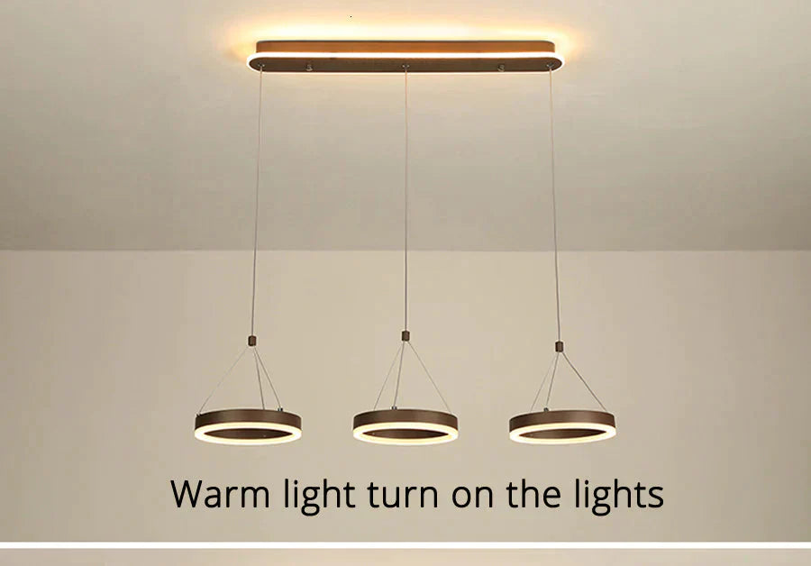 Coffee Led Pendant Light Kitchen Dinning Room Backside Lighting 3 Heads Round Acrylic Lamp Lustres