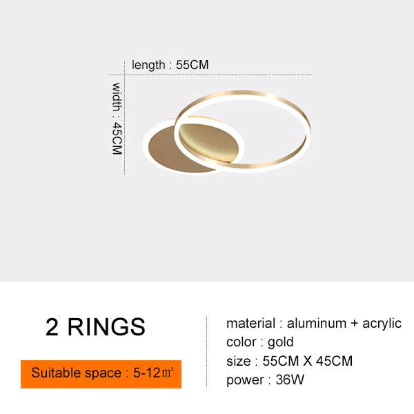 Modern Ceiling Lights For Living Room Circle Gold Brown Led Plafon Decor Bedroom Lamps Fixture With