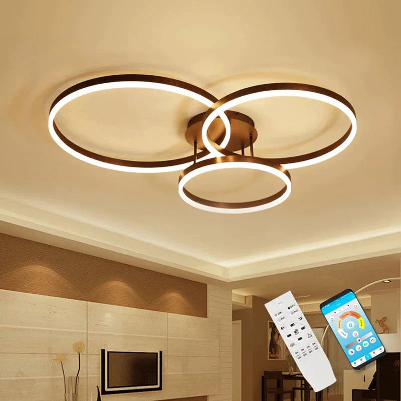 Modern Led Ceiling Lights For Living Room Kitchen Fixtures With Remote Indoor Home Dining Lamps