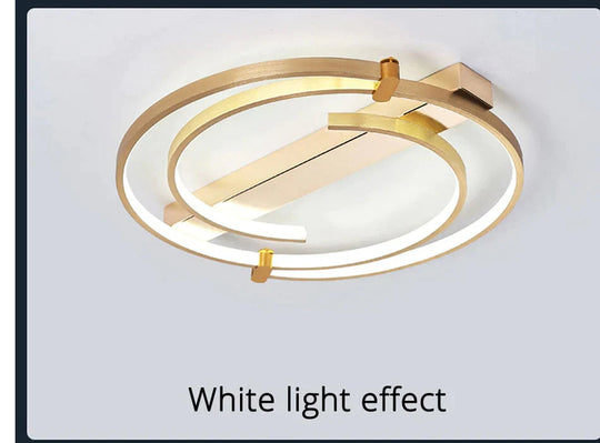 Ceiling Lights Gold Body Round/Square For Bedroom Living Room Remote Control Led Lamps