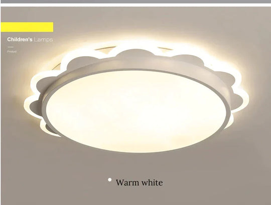 Modern Led Ceiling Lights For Living Room Bedroom Indoor Lighting Lamp Fixture Remote Control