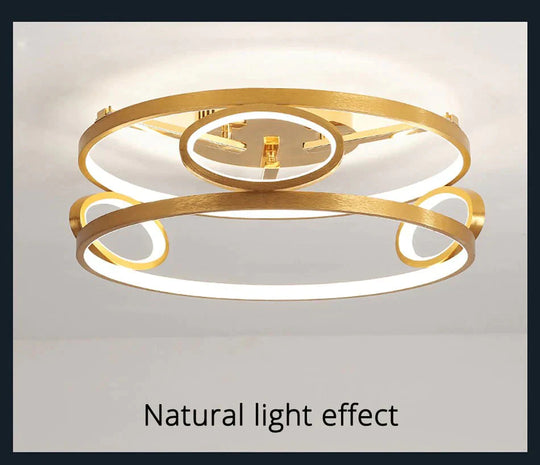 Led Ceiling Lights Gold Body Round/Square For Bedroom Support Remote Control Led Lamps