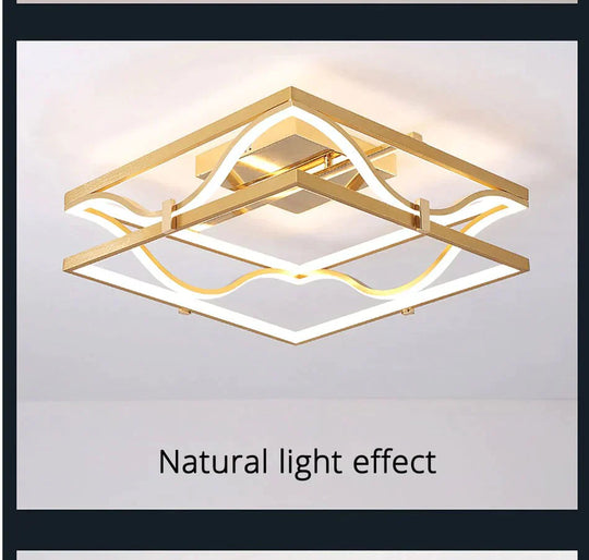 Led Ceiling Lights Gold Body Round/Square For Bedroom Support Remote Control Led Lamps