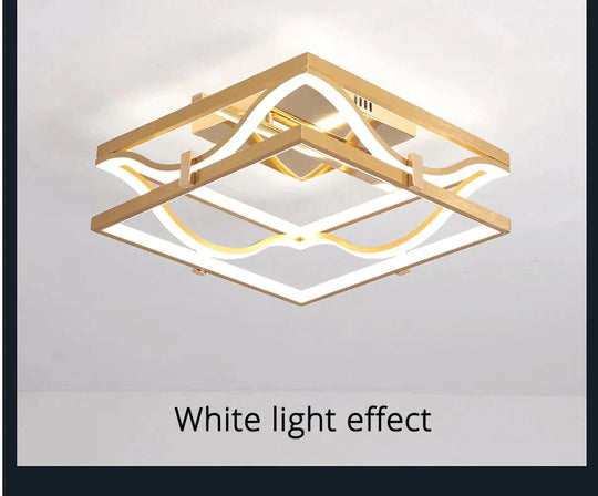 Led Ceiling Lights Gold Body Round/Square For Bedroom Support Remote Control Led Lamps