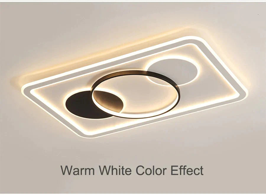 Modern Acrylic Ceiling Lights For Bedroom Support Remote Control Lustre Led Surface Mount Lamps