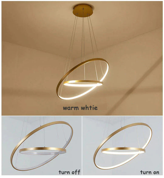 Modern Pendant Lamp Hanging Light Living Room Dining Shop Decoration Large Ring Acrylic