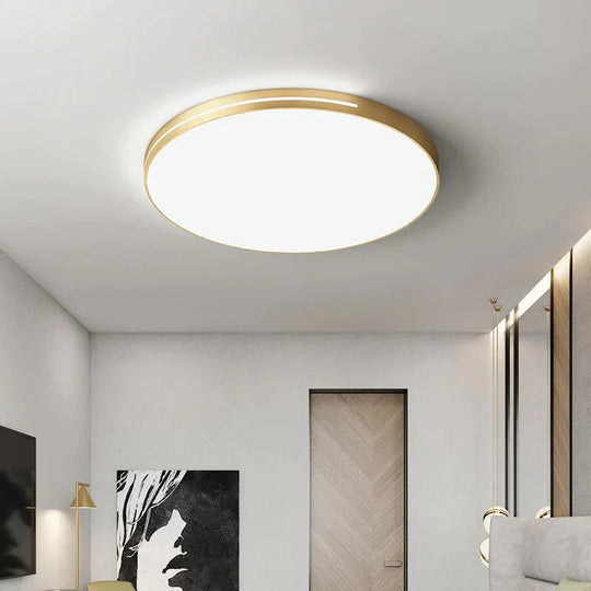 Modern Atmosphere Light Luxury Ultra Thin Ceiling Lamp Bedroom Living Room Kitchen Dining Ceiling