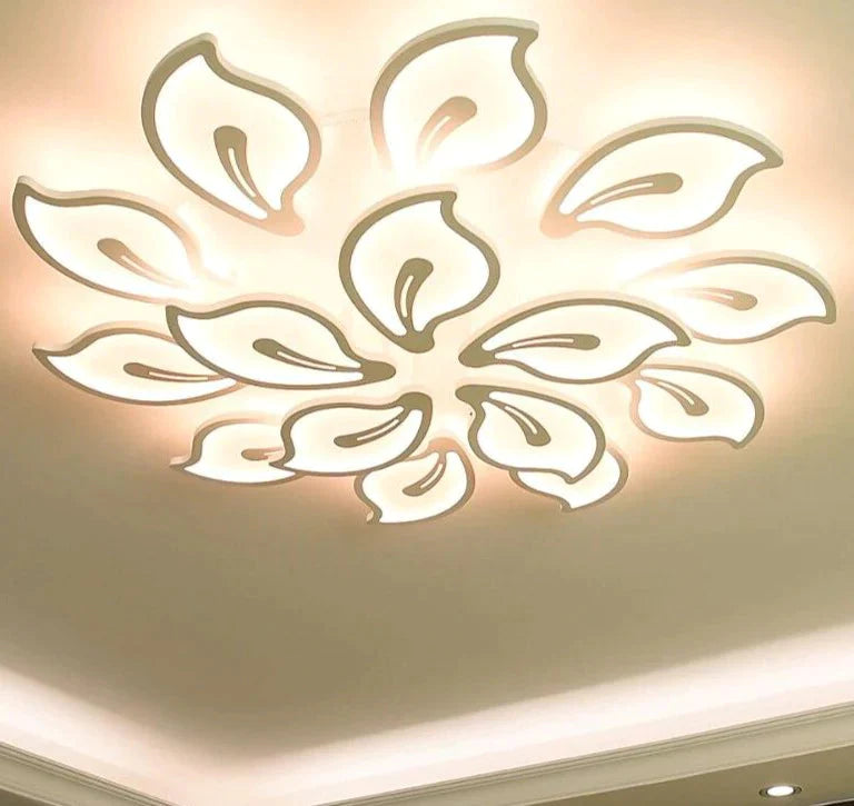 Modern Acrylic Design Ceiling Lights Bedroom Living Room Lamp Led Home Lighting Light Lanterns