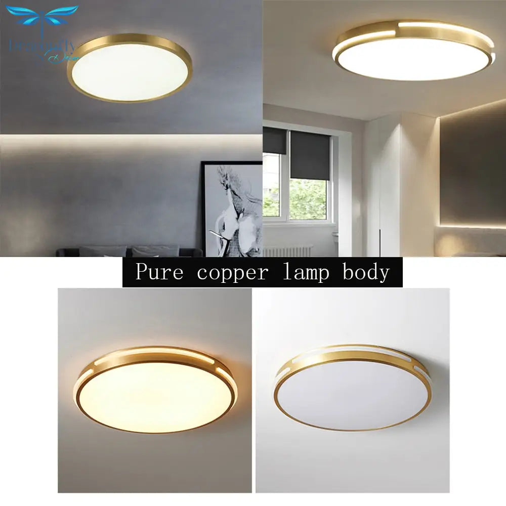 Pure Copper Lamp Body Led Lighting For Living Room Ceiling Light Bedroom Corridor Balcony Ceiling