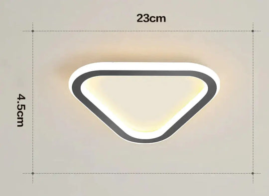 Simple Ceiling Lamp Personalized Creativity Ultra - Thin Corridor Light Luxury Cloakroom Led Anode